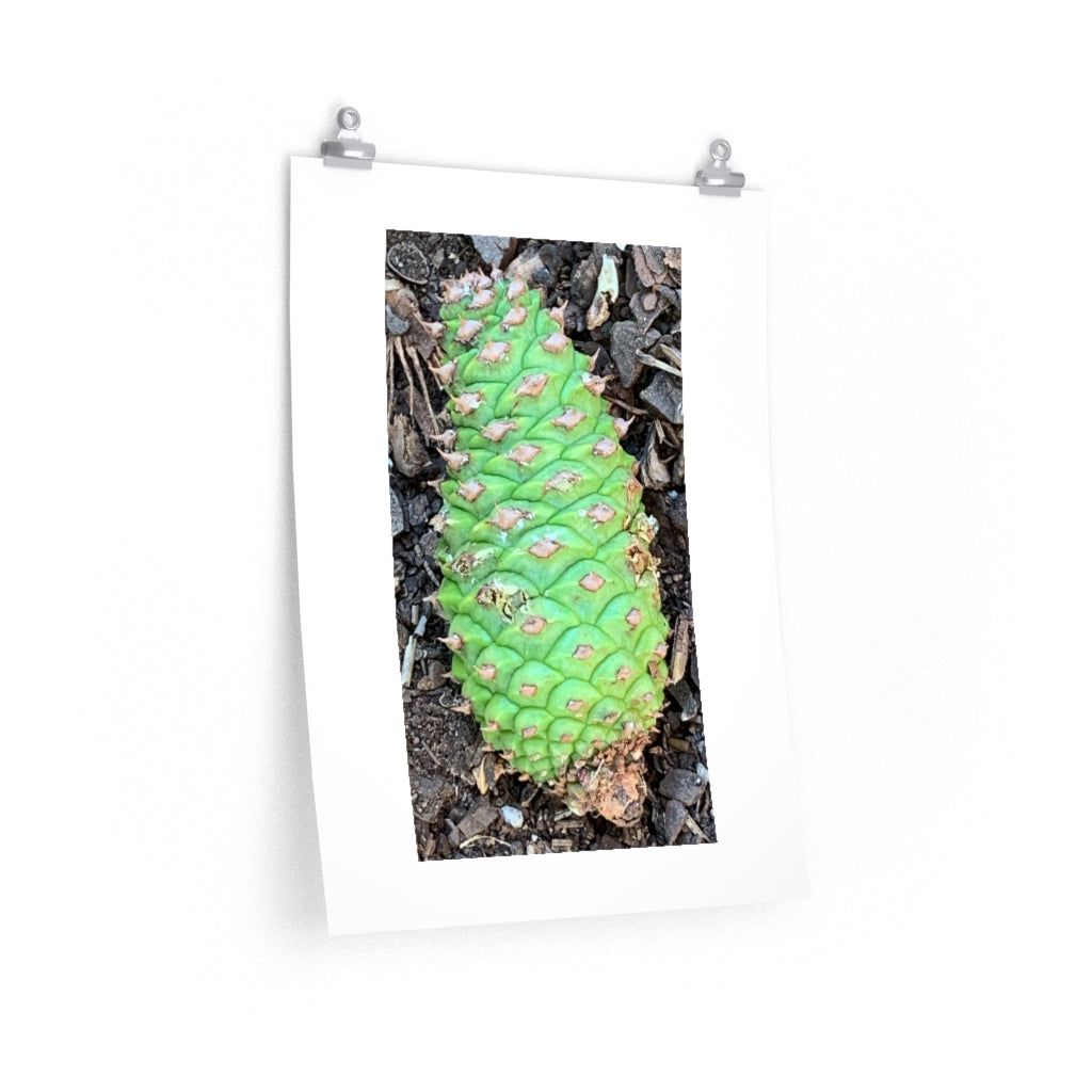 Green Pinecone - Premium Matte poster