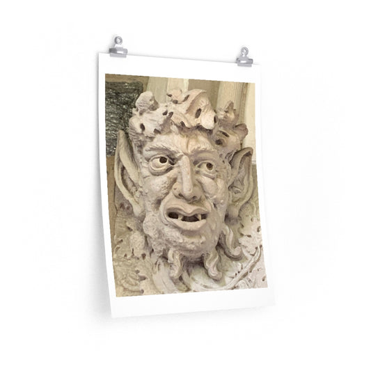 Face 2 - Premium Matte poster
