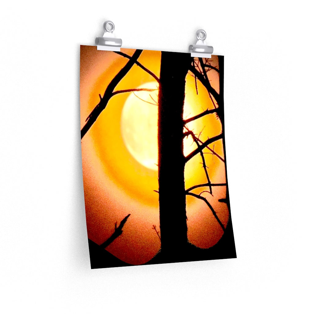 Moon 7 - Premium Matte poster