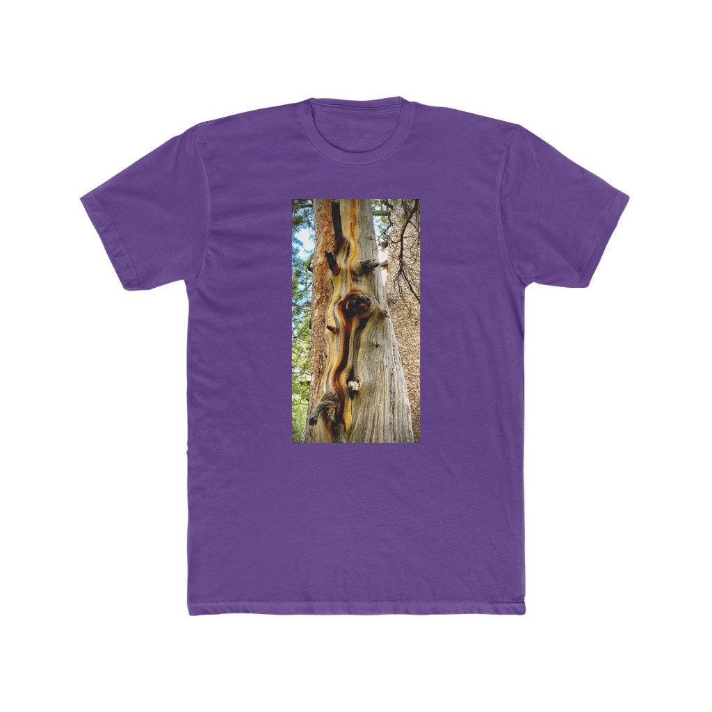 Yosemite Tree