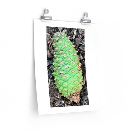 Green Pinecone - Premium Matte poster