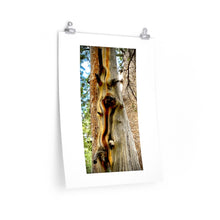 Load image into Gallery viewer, Yosemite Tree - Premium Matte poster
