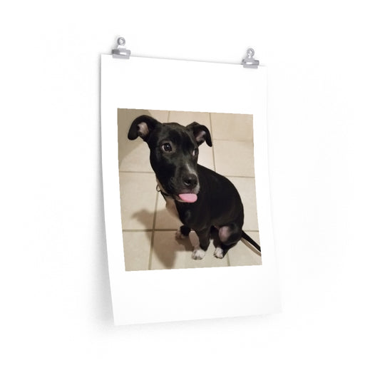 Cutie 2 - Premium Matte poster
