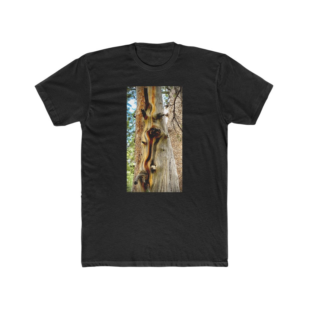 Yosemite Tree
