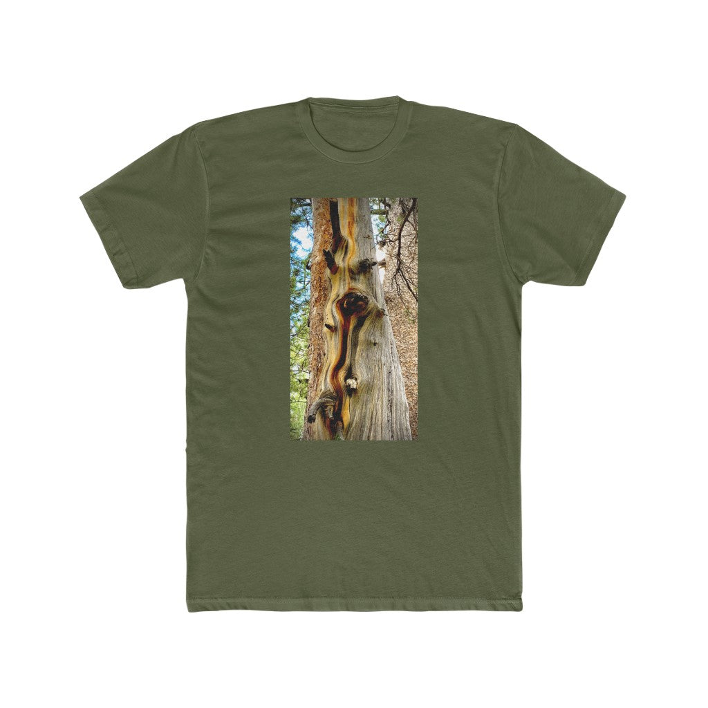 Yosemite Tree