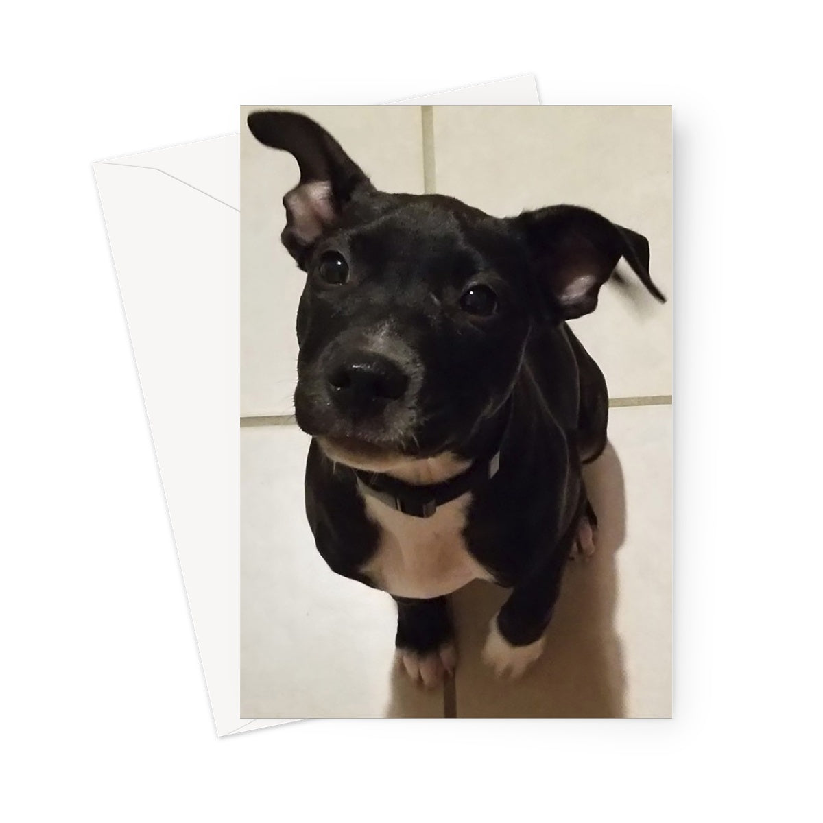 Cutie 1 Greeting Card