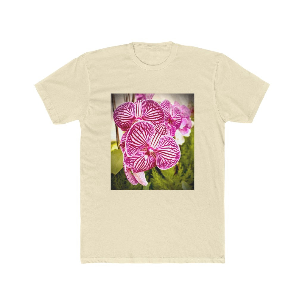Orchid-6