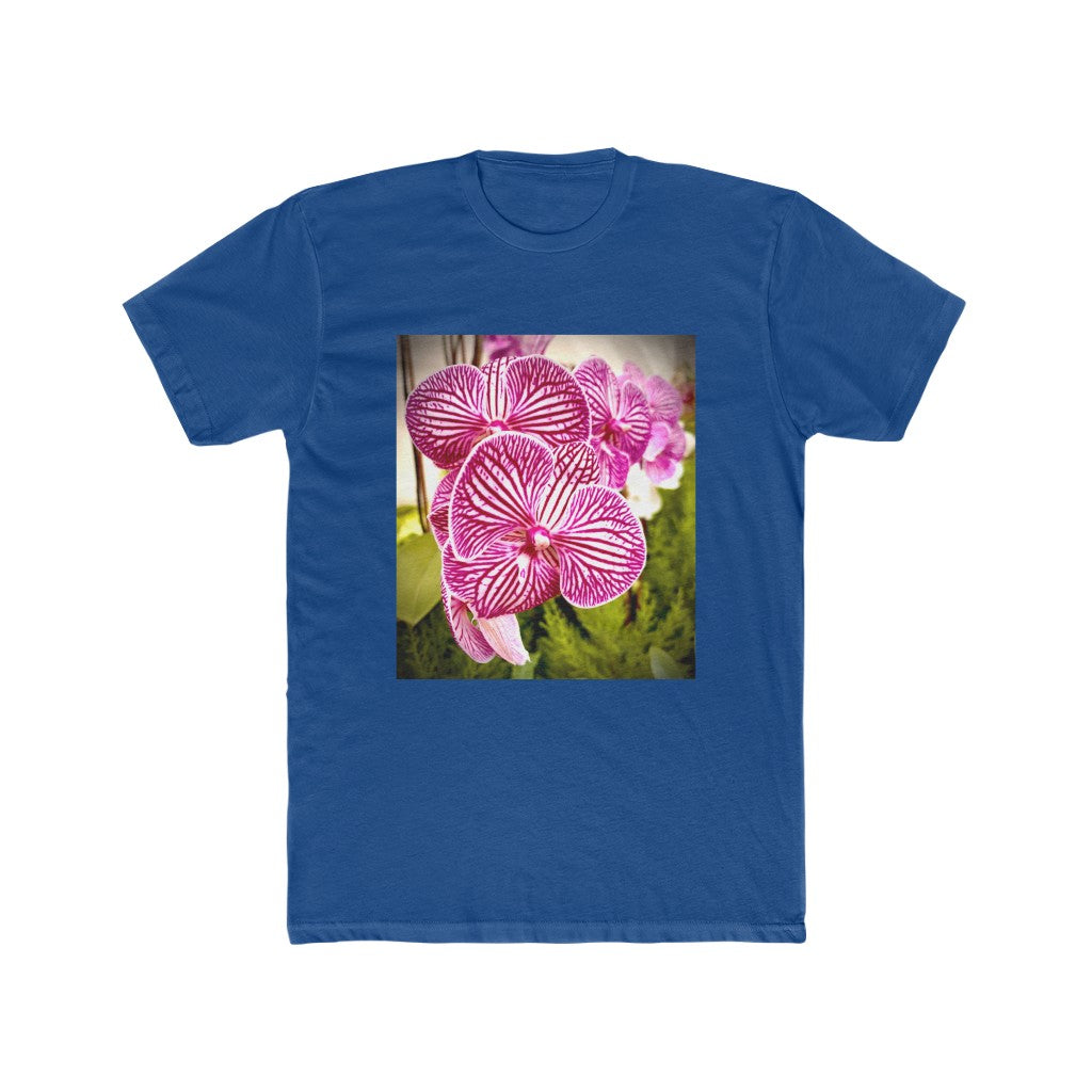 Orchid-6