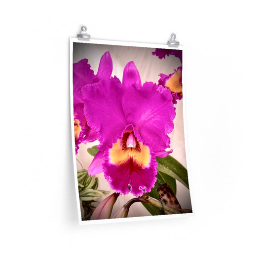 Orchid 5 - Premium Matte poster