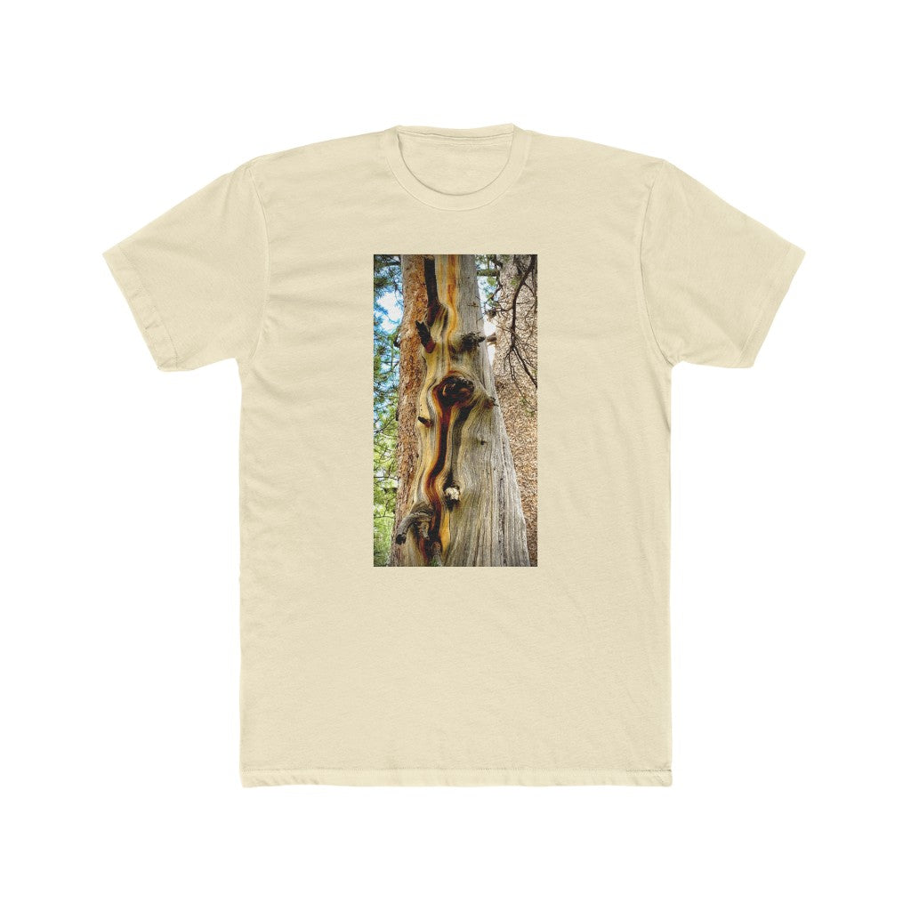 Yosemite Tree