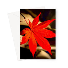 Load image into Gallery viewer, Japanese Maple Leaf Greeting Card
