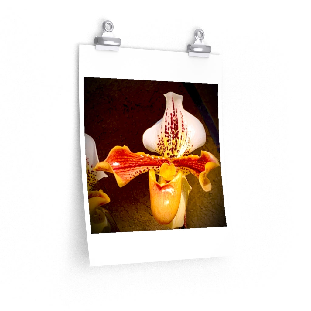 Orchid 1 - Premium Matte poster