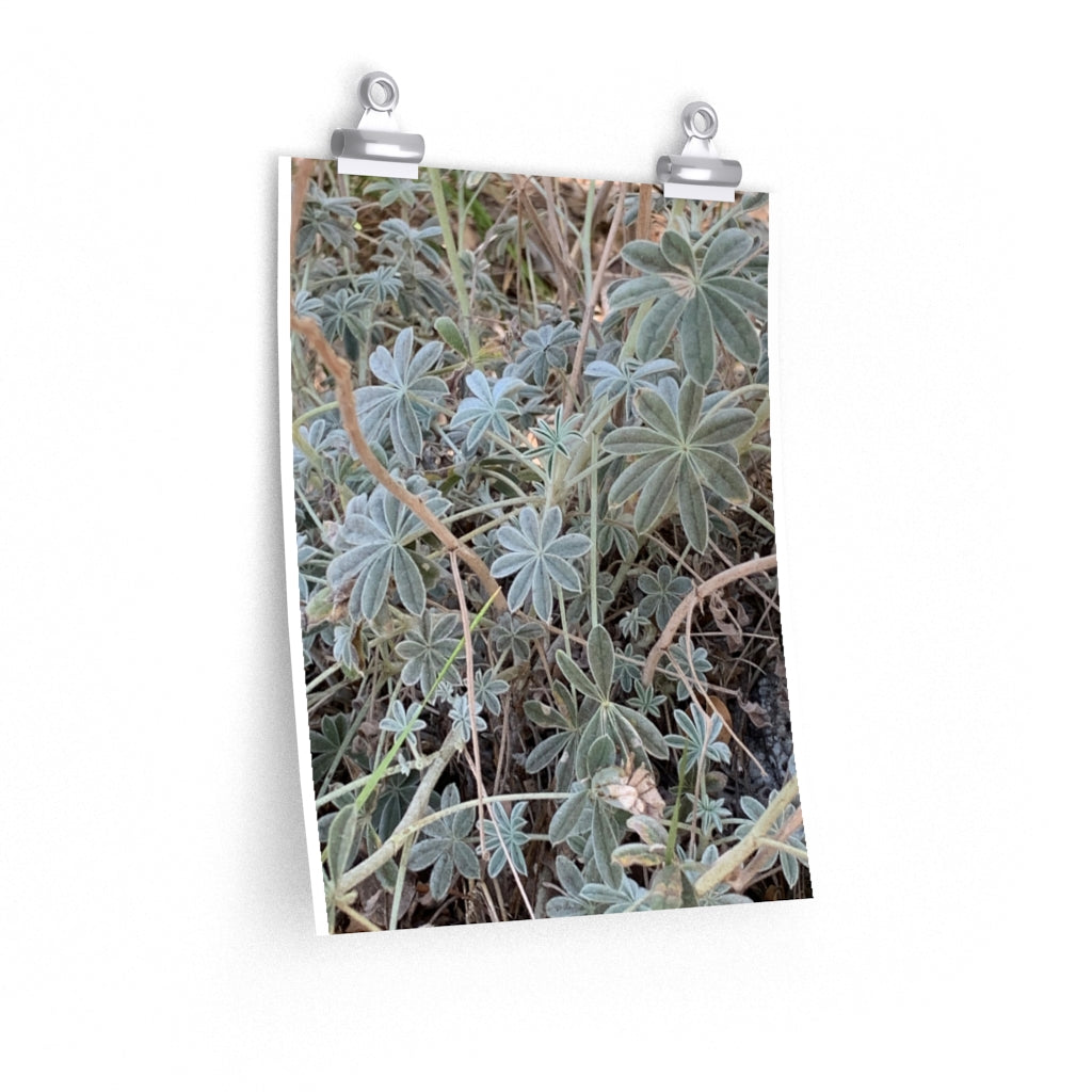 Plant 1 - Premium Matte poster