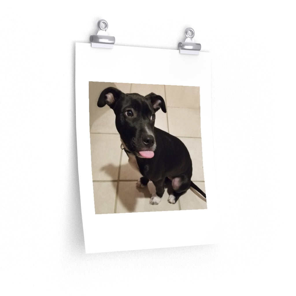 Cutie 2 - Premium Matte poster