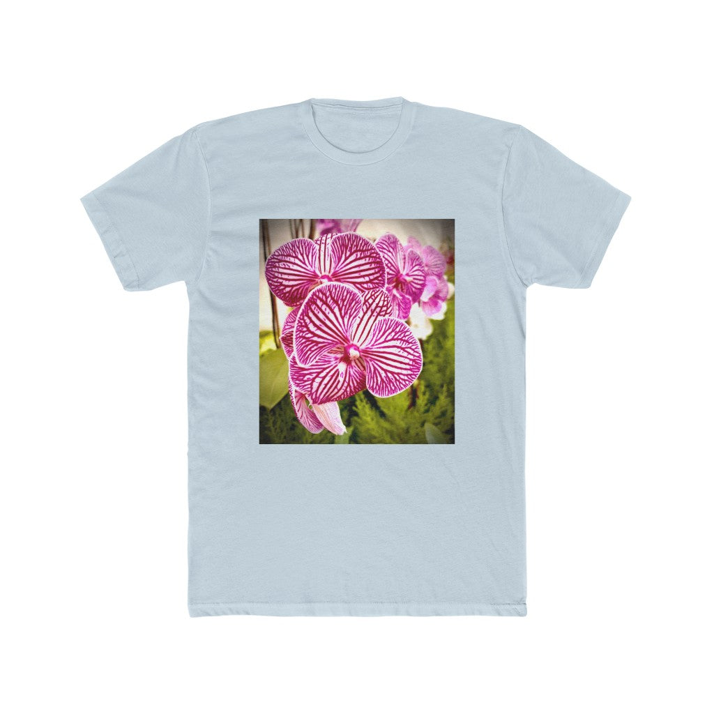 Orchid-6