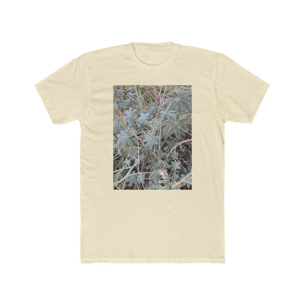 Plant-1