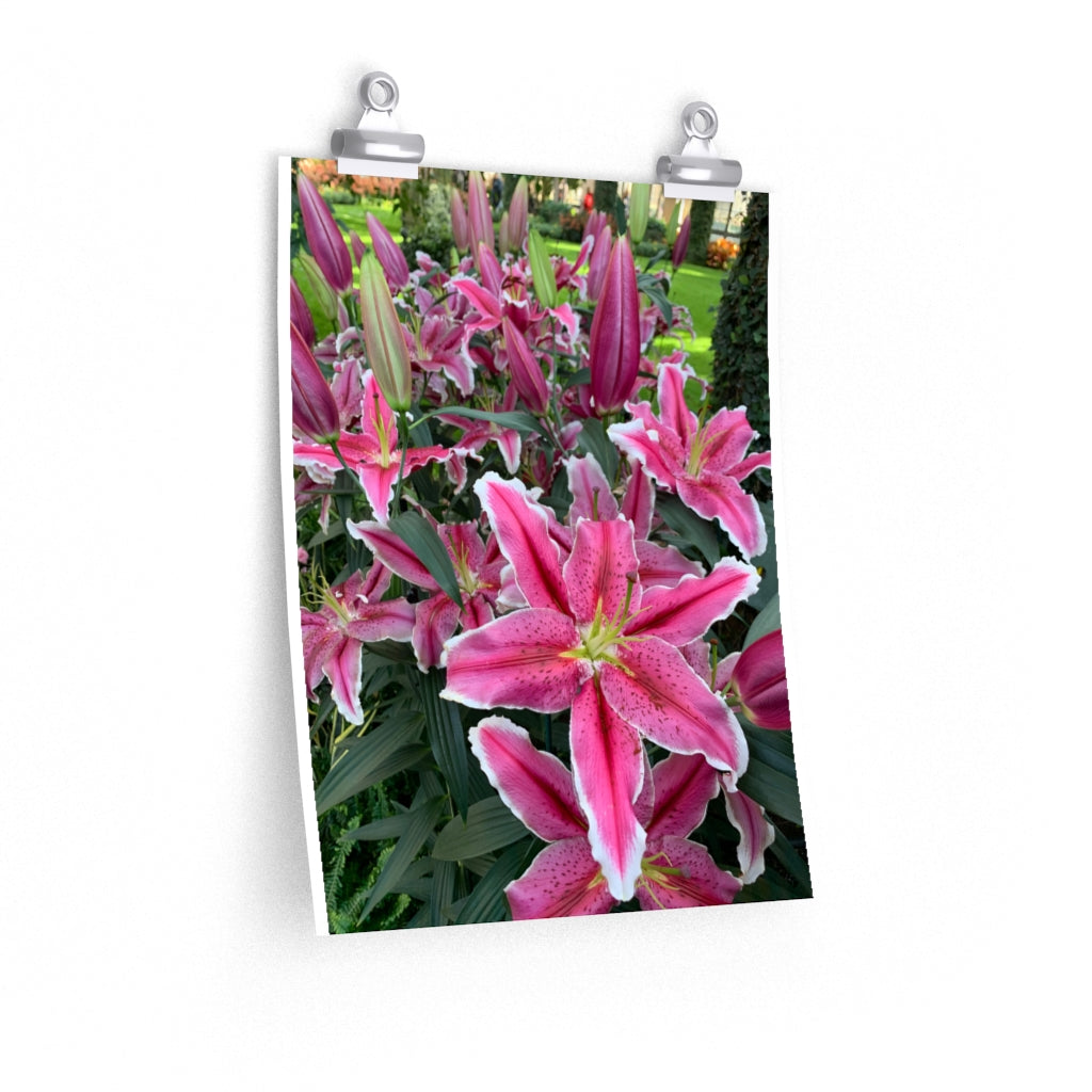 Flower 1 - Premium Matte poster