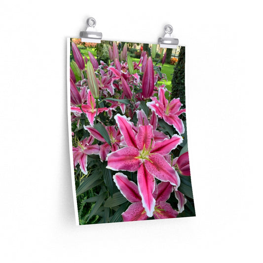 Flower 1 - Premium Matte poster