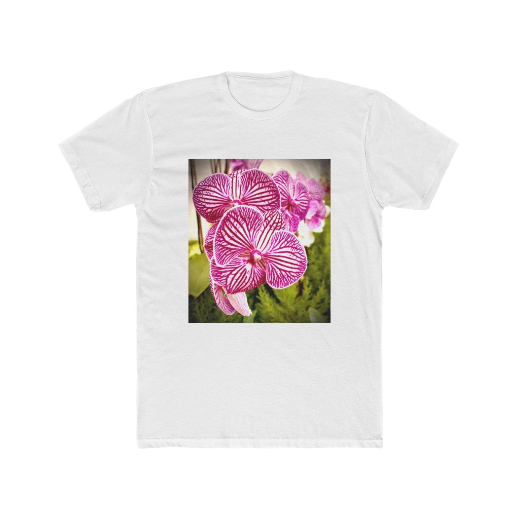 Orchid-6