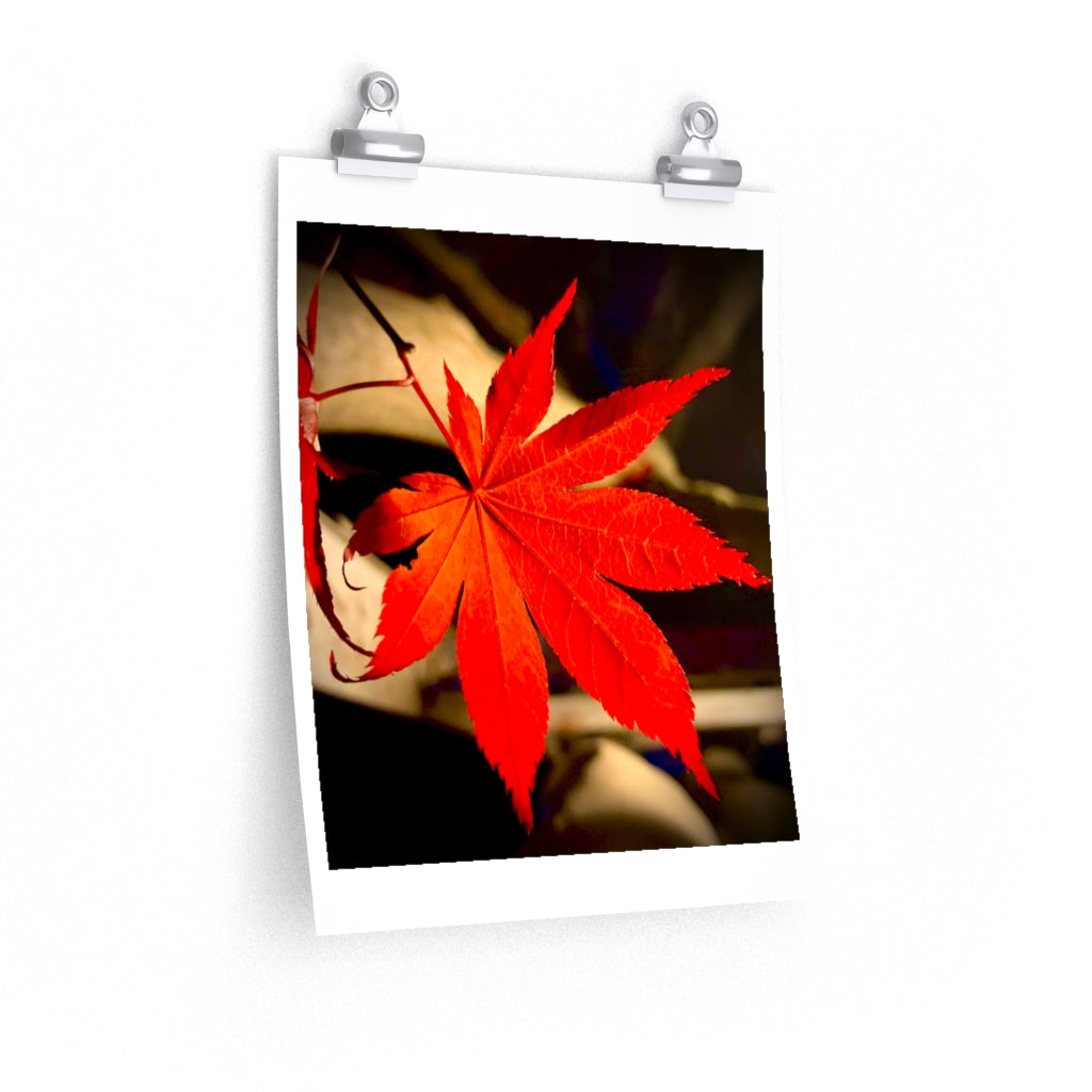 Japanese Maple Leaf - Premium Matte poster