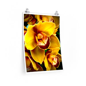 Orchid 8 - Premium Matte poster