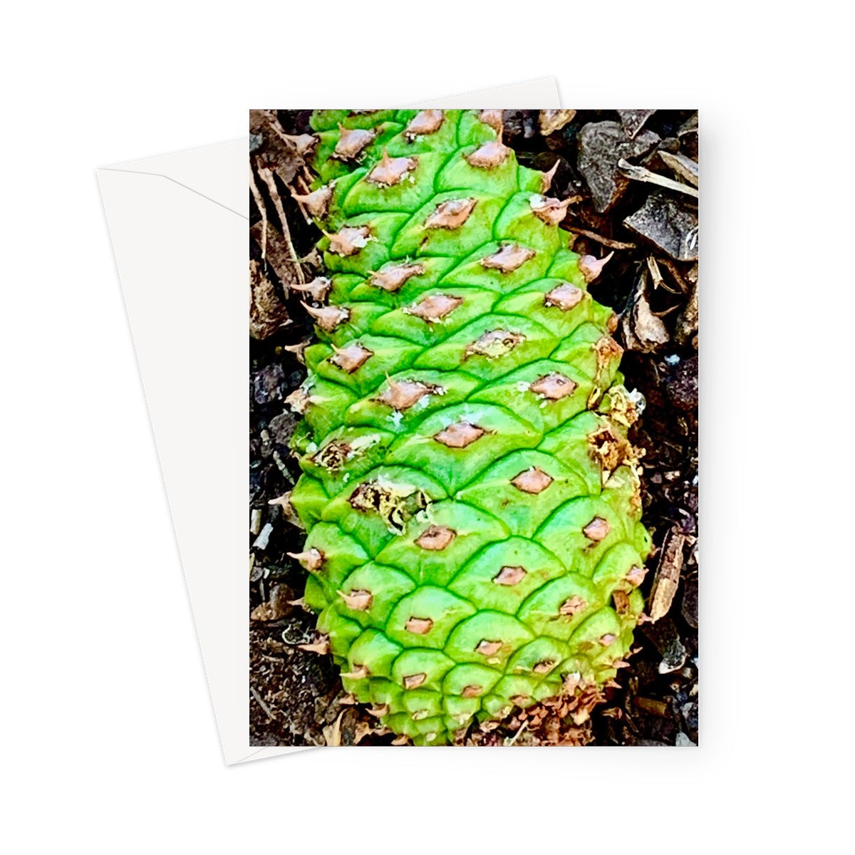 Green Pinecone Greeting Card