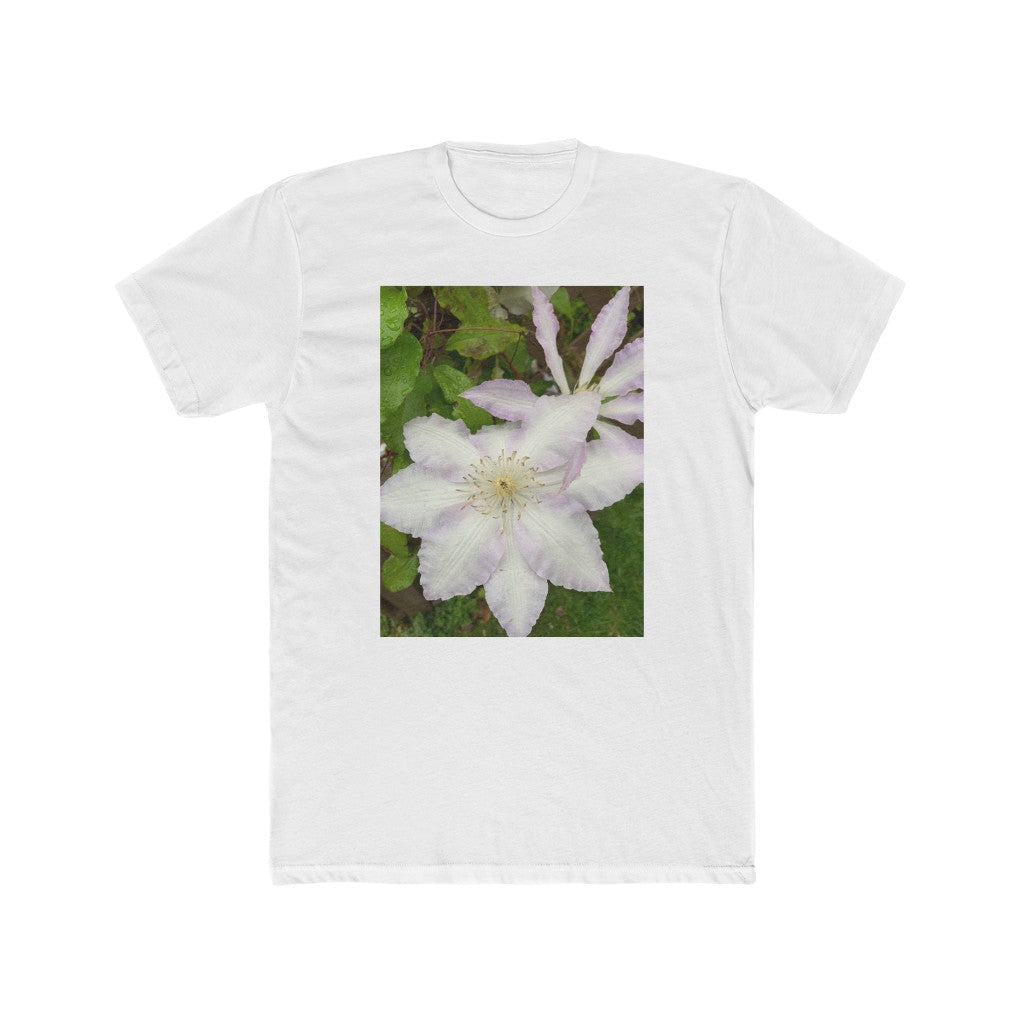 Clematis