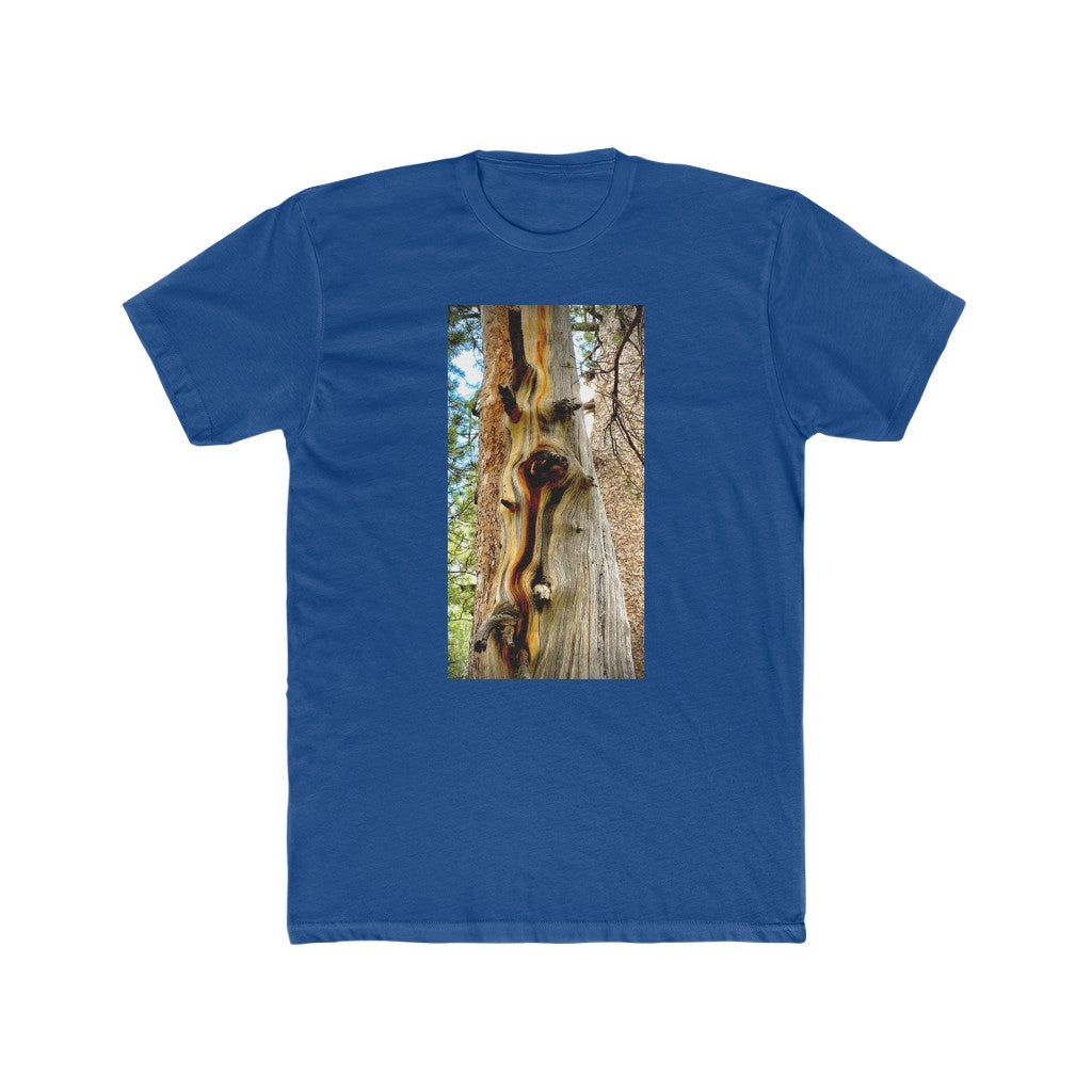 Yosemite Tree