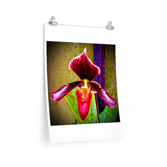 Orchid 4 - Premium Matte poster