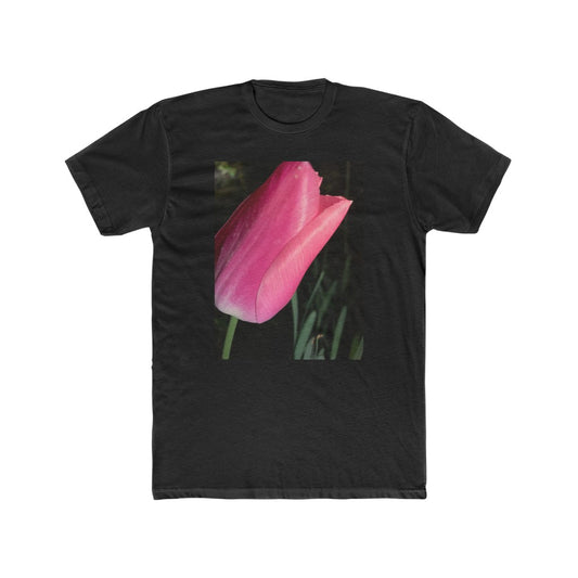 Tulip at Night