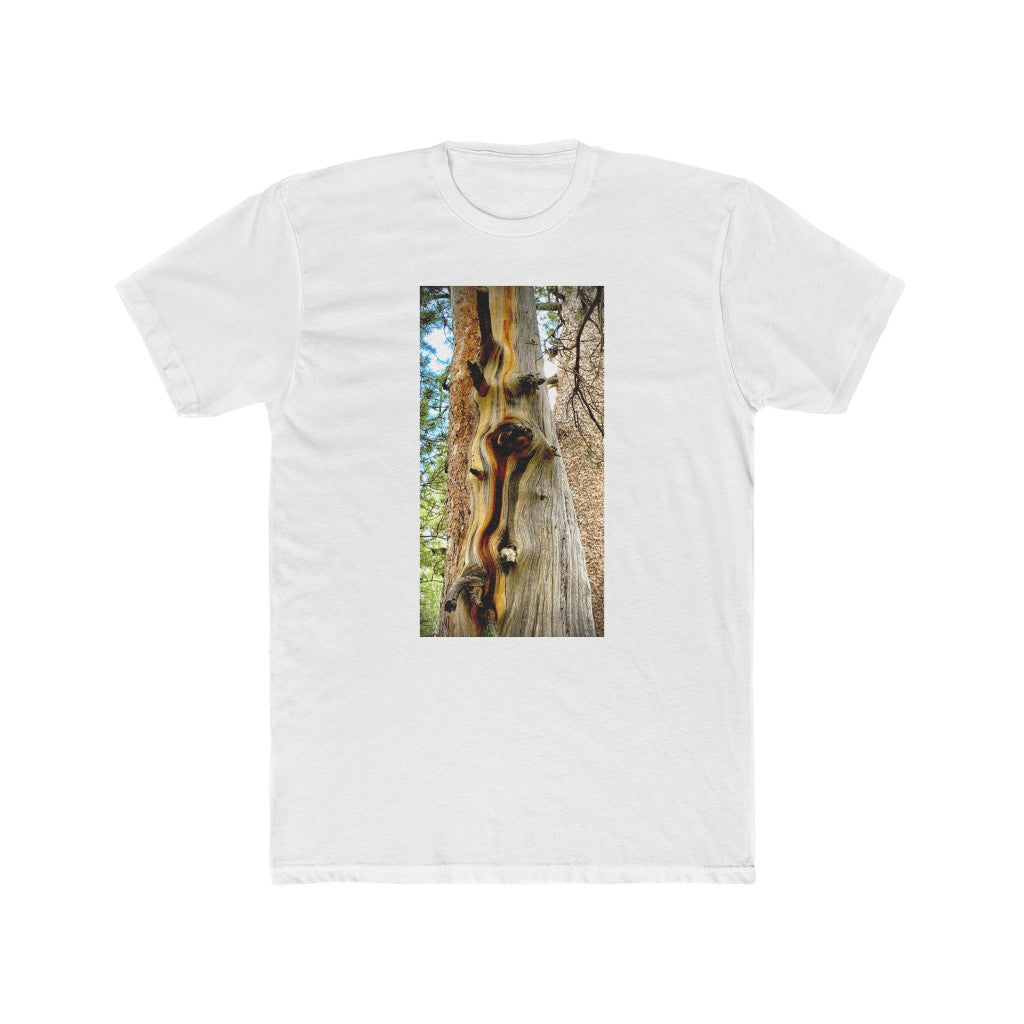 Yosemite Tree