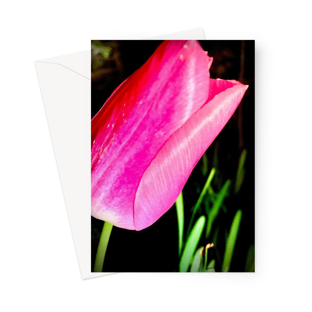 Tulip at Night Greeting Card