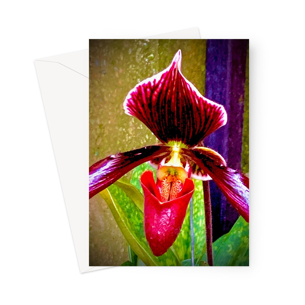 Orchid 4 Greeting Card