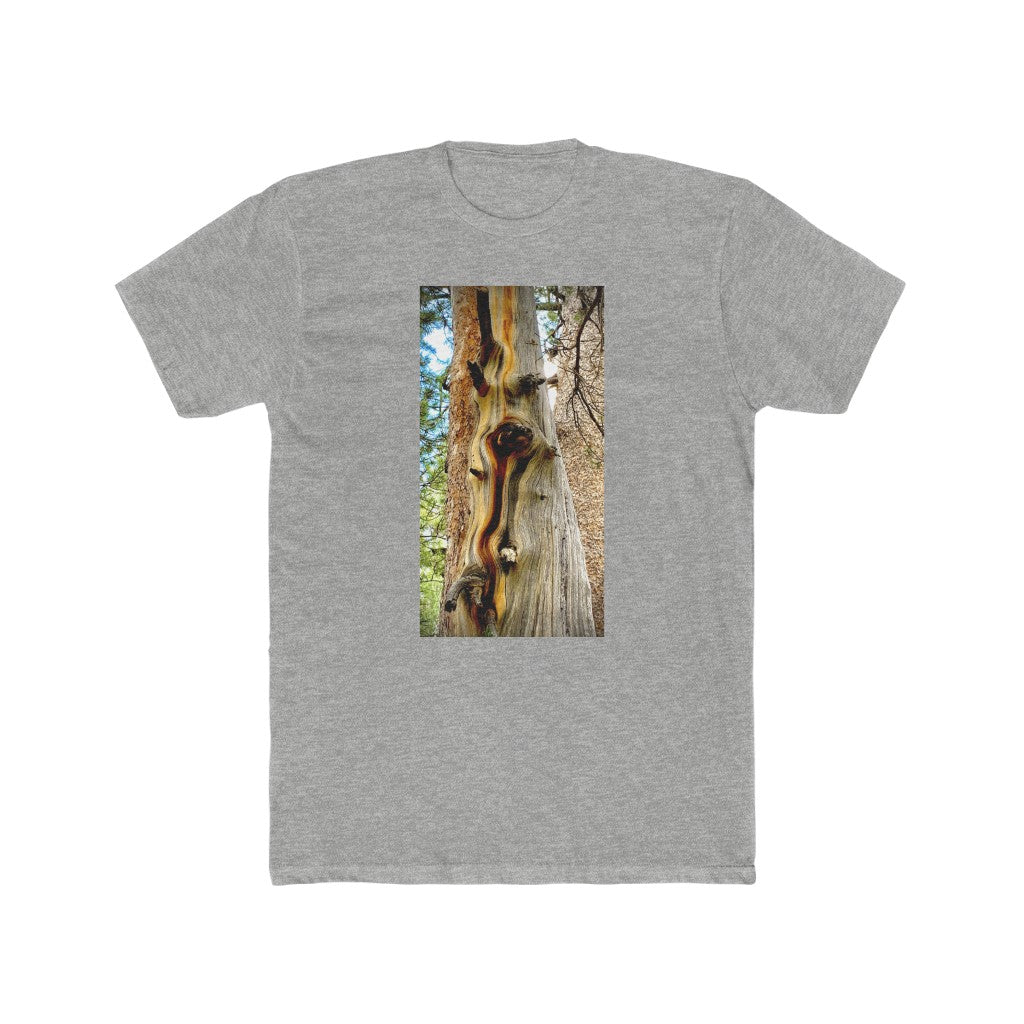 Yosemite Tree