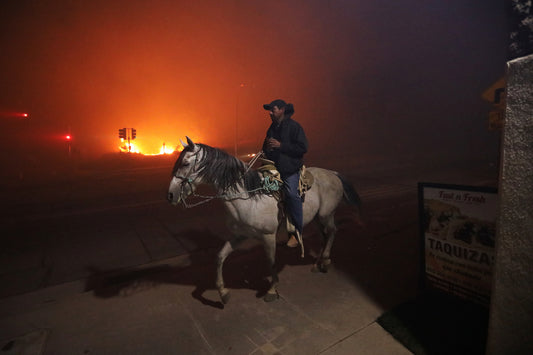 Fire Horse