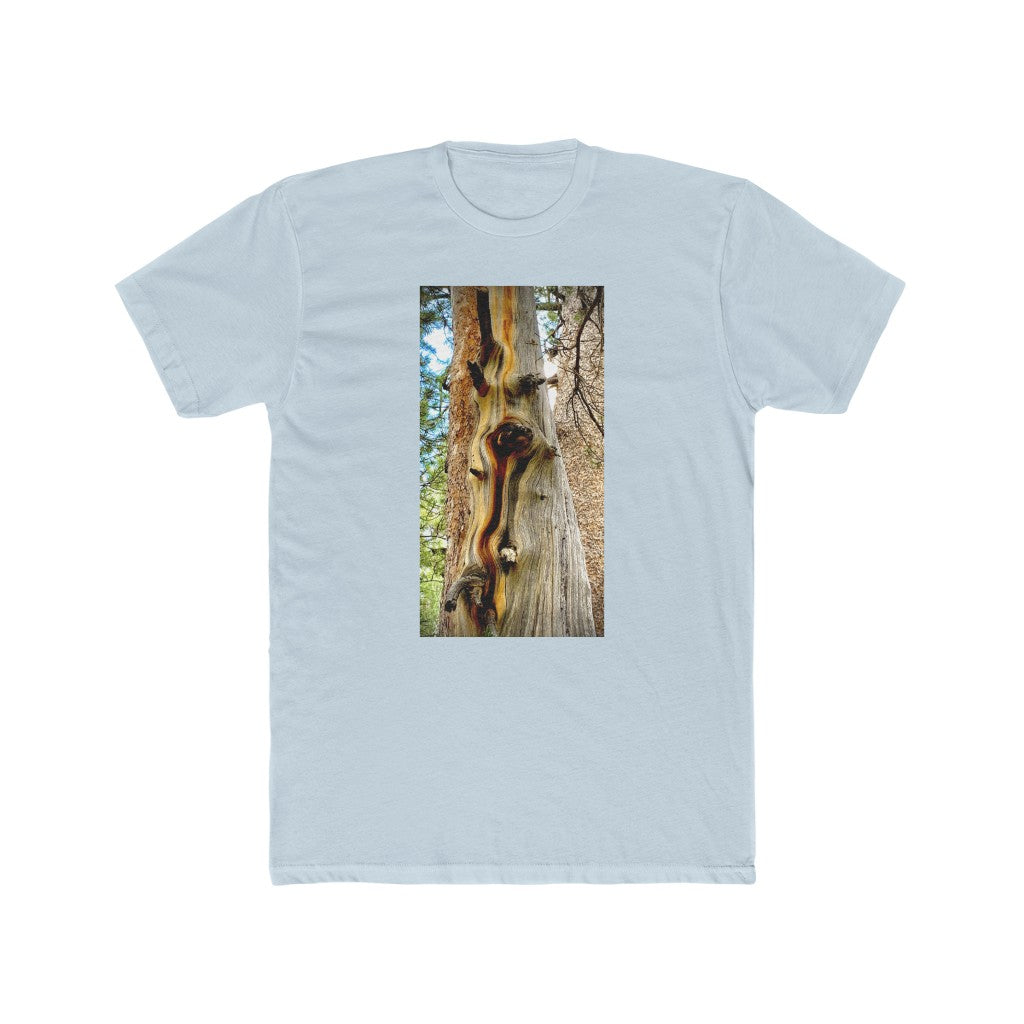 Yosemite Tree