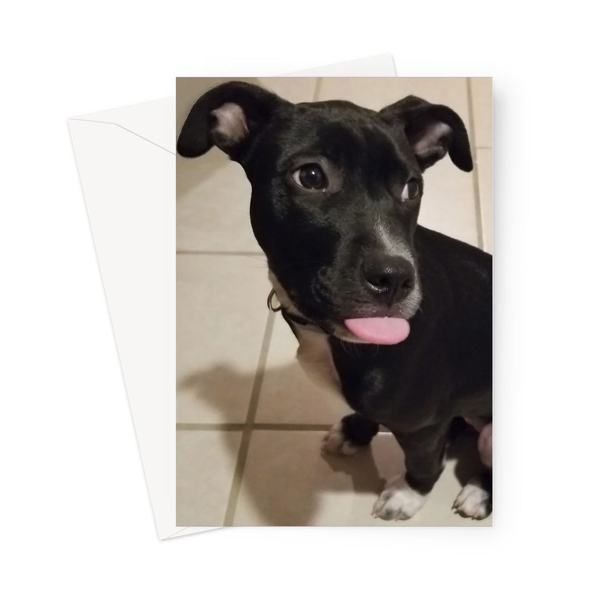 Cutie 2 Greeting Card