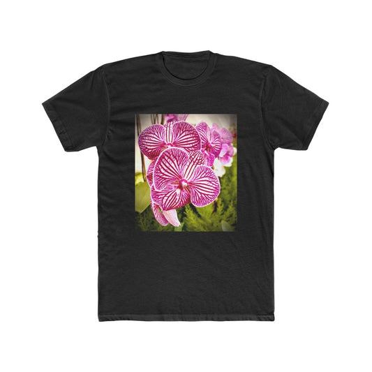 Orchid-6