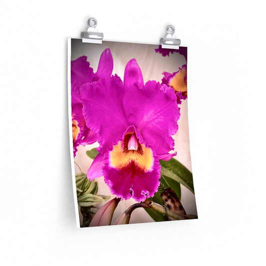 Orchid 5 - Premium Matte poster