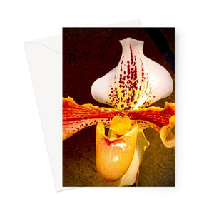 Orchid 1 Greeting Card