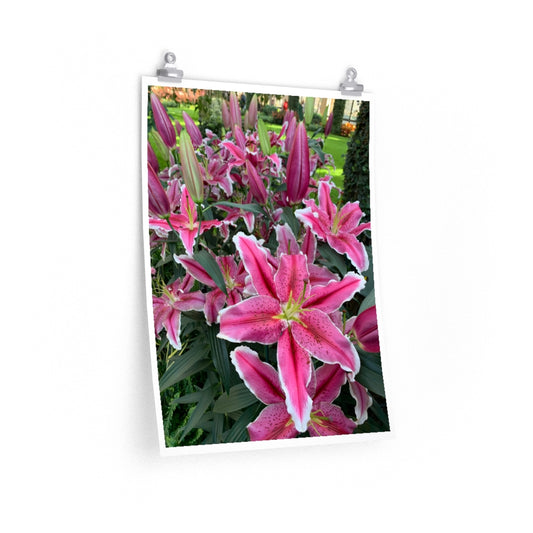 Flower 1 - Premium Matte poster