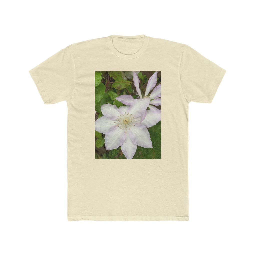Clematis