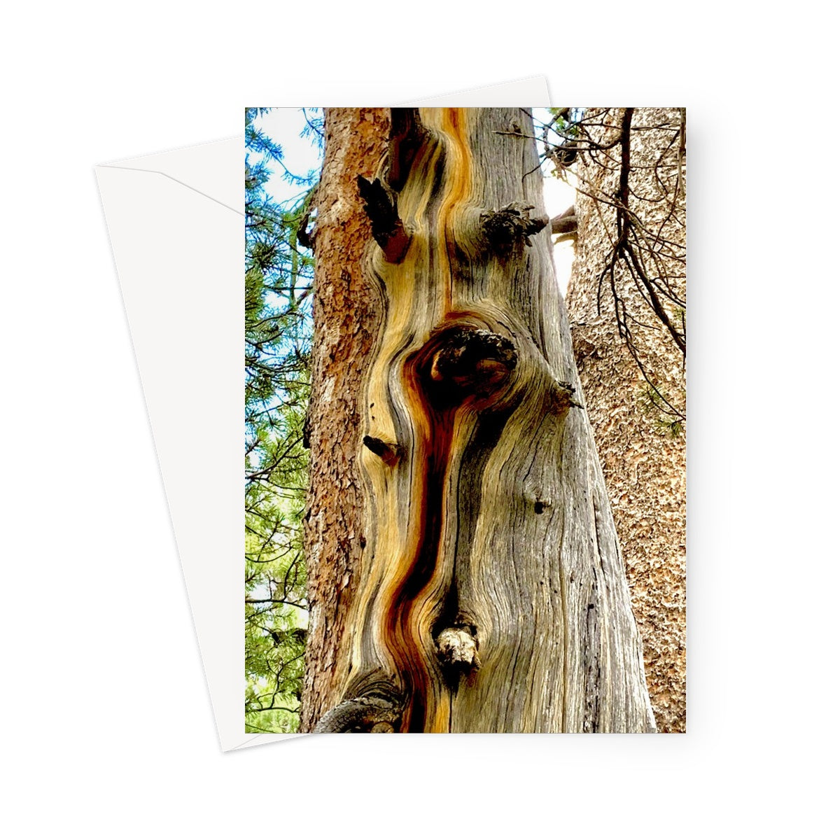 Yosemite Tree Greeting Card