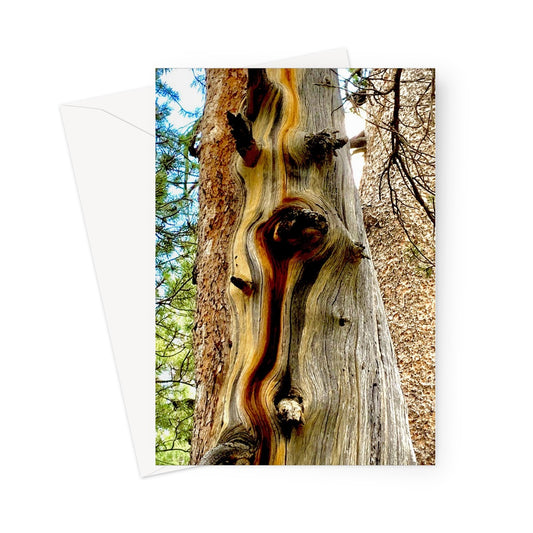 Yosemite Tree Greeting Card