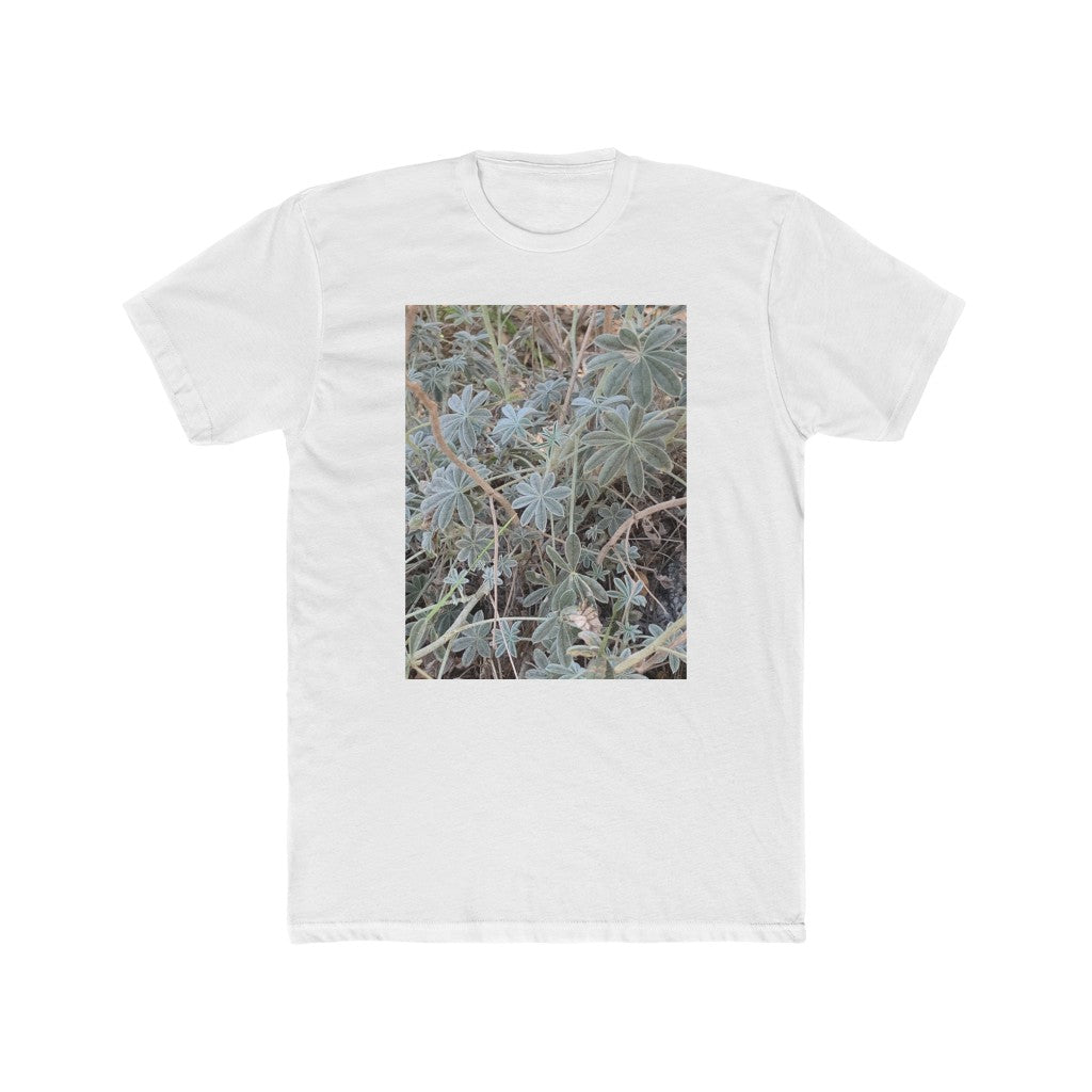 Plant-1