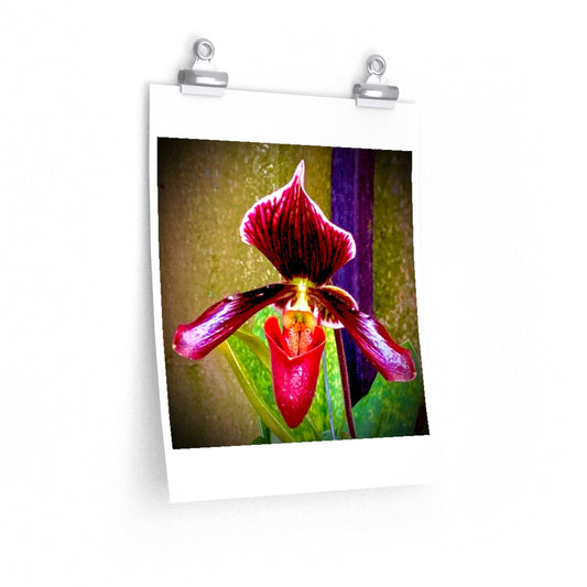 Orchid 4 - Premium Matte poster