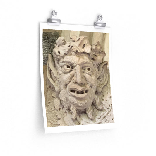 Face 2 - Premium Matte poster