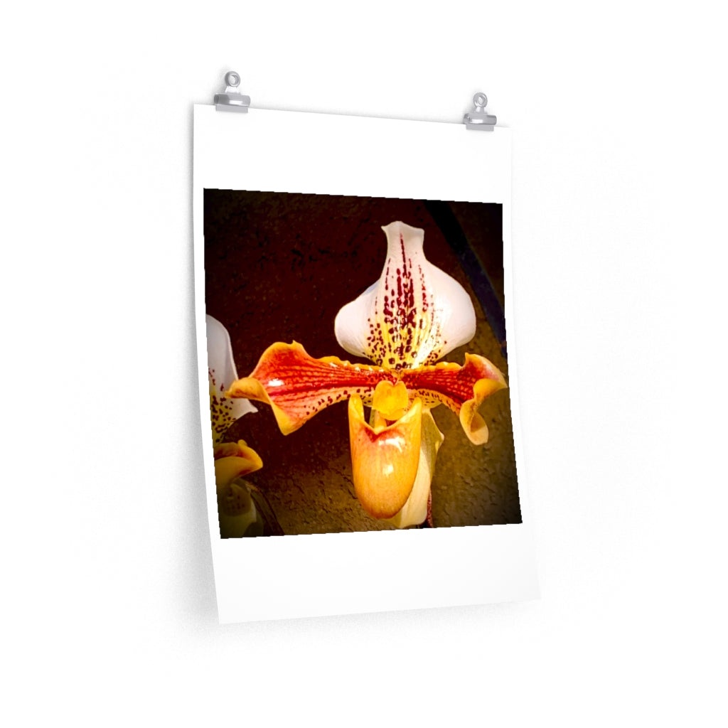 Orchid 1 - Premium Matte poster