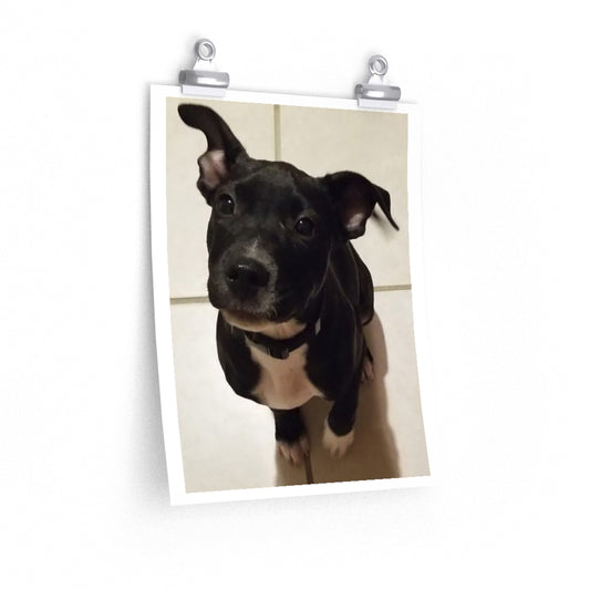 Cutie 1 - Premium Matte poster