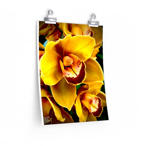 Orchid 8 - Premium Matte poster
